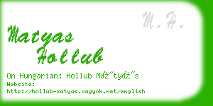matyas hollub business card